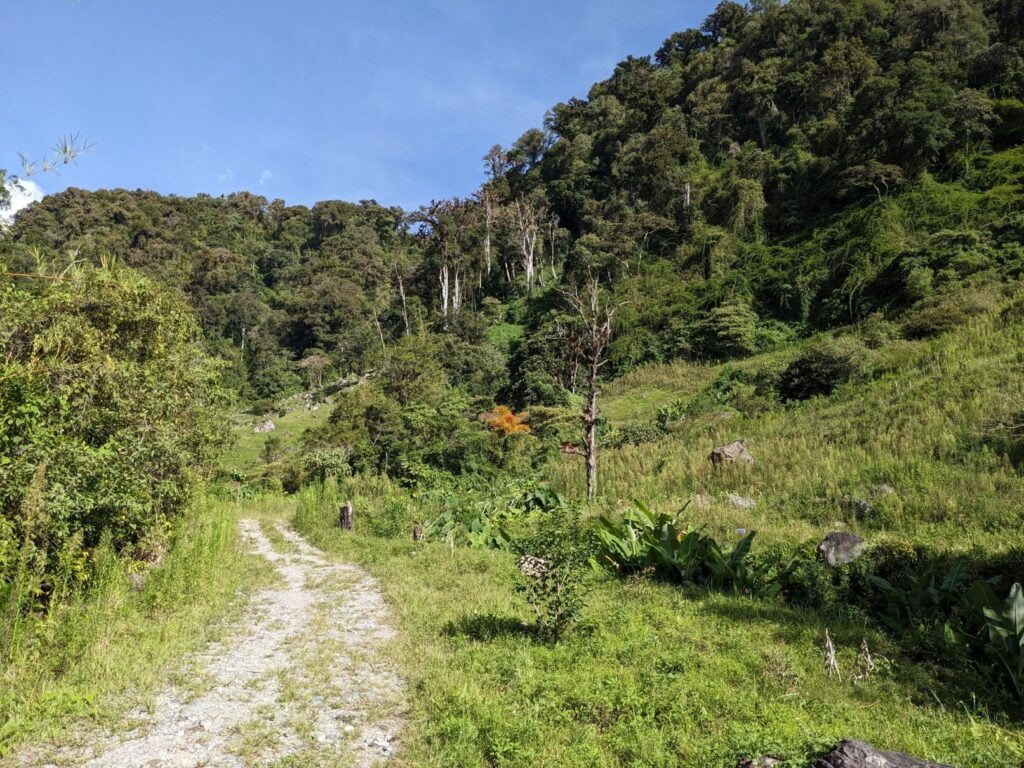 pipeline trail two travel turtles