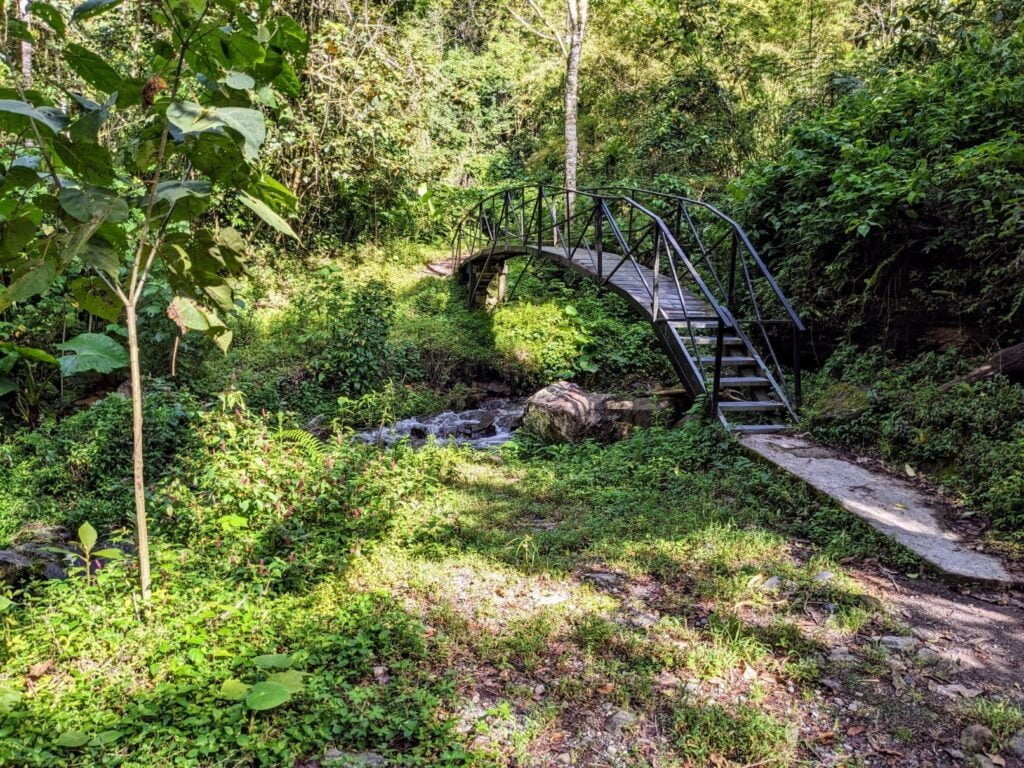 pipeline trail two travel turtles