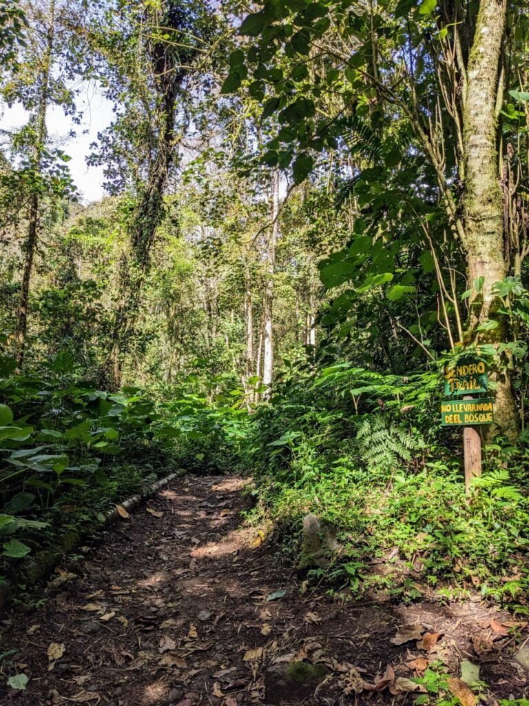 pipeline trail two travel turtles