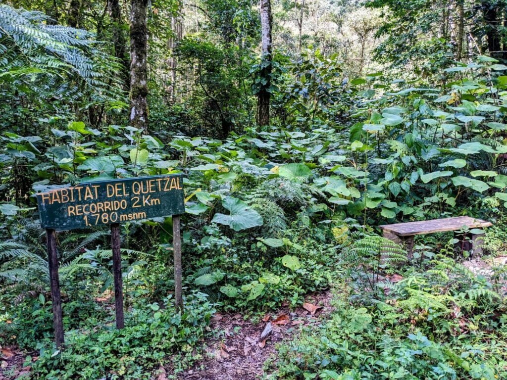 pipeline trail two travel turtles