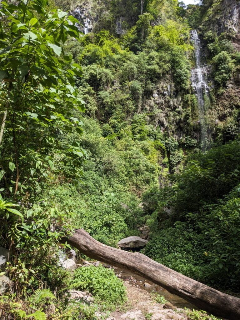 pipeline trail two travel turtles