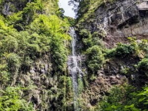 How To Hike the Pipeline Trail in Boquete Panama PXL_20230621_150935798~2