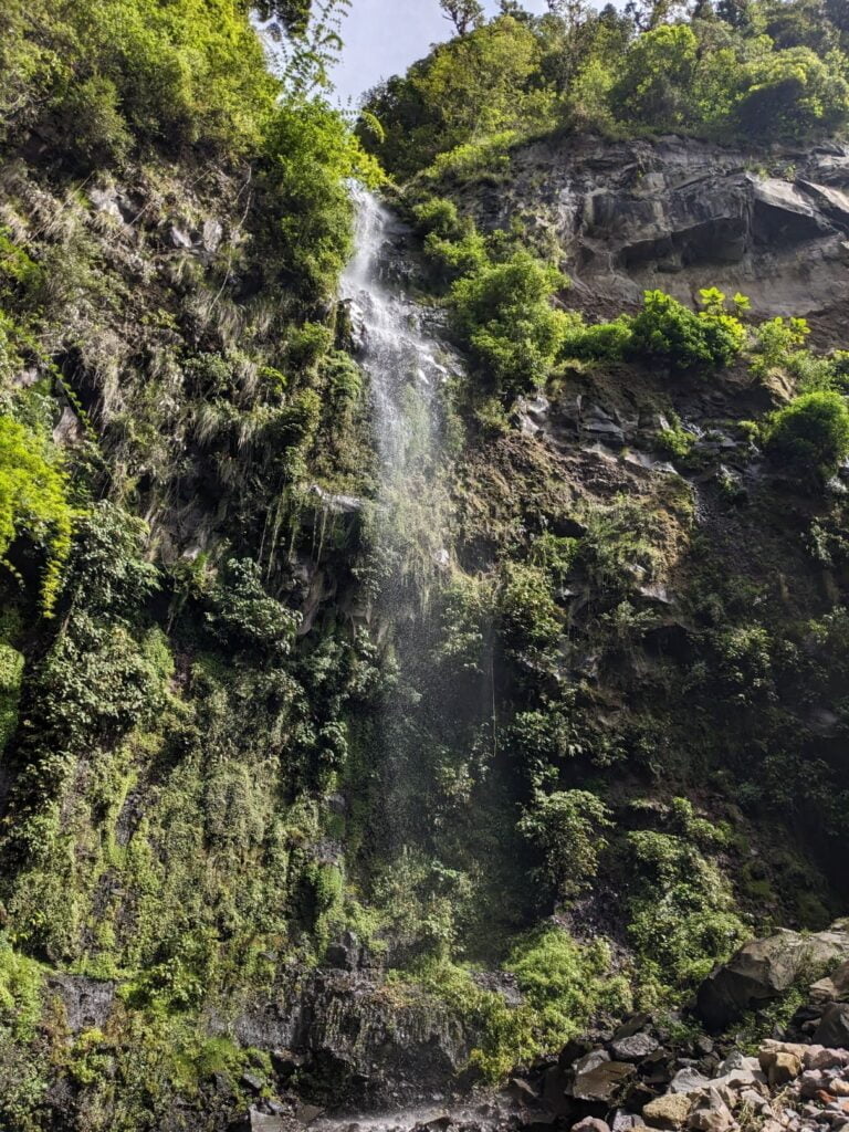 pipeline trail two travel turtles