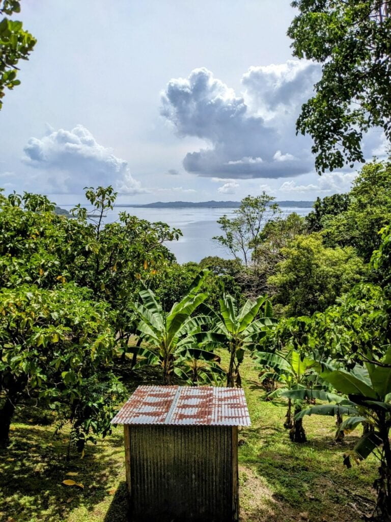 airbnb in bocas del toro two travel turtles