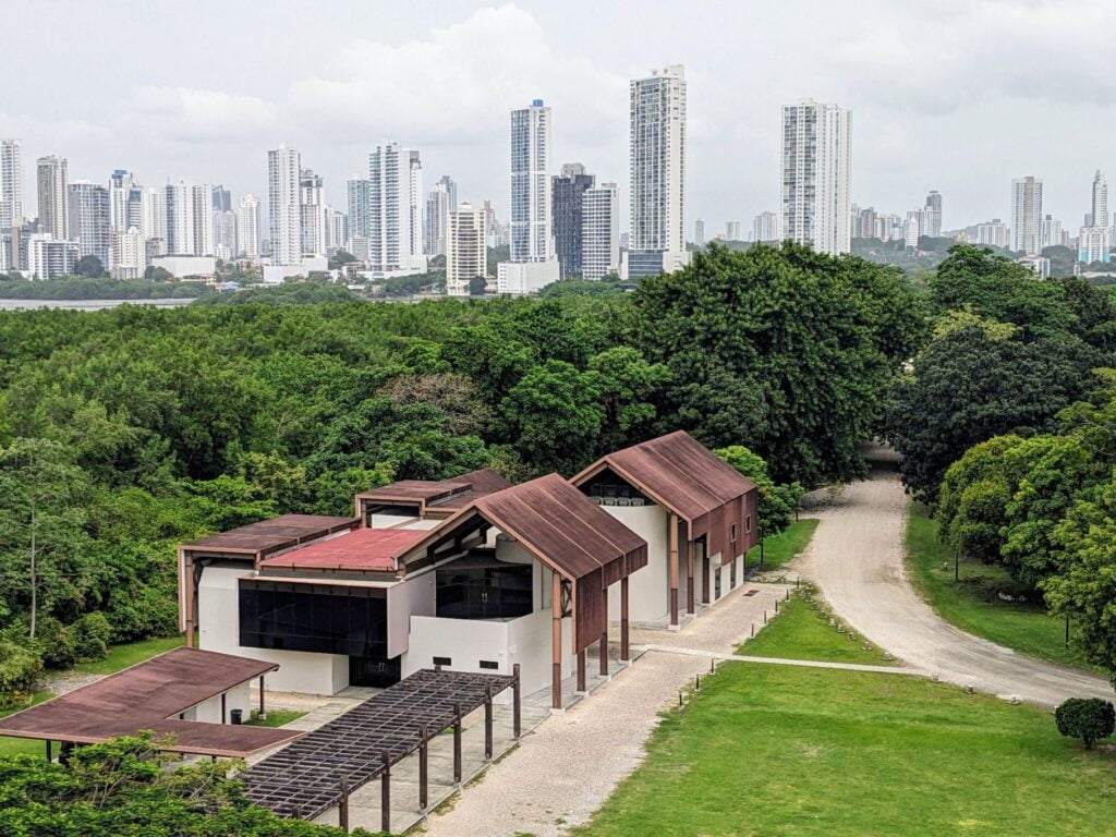 month in panama city two travel turtles