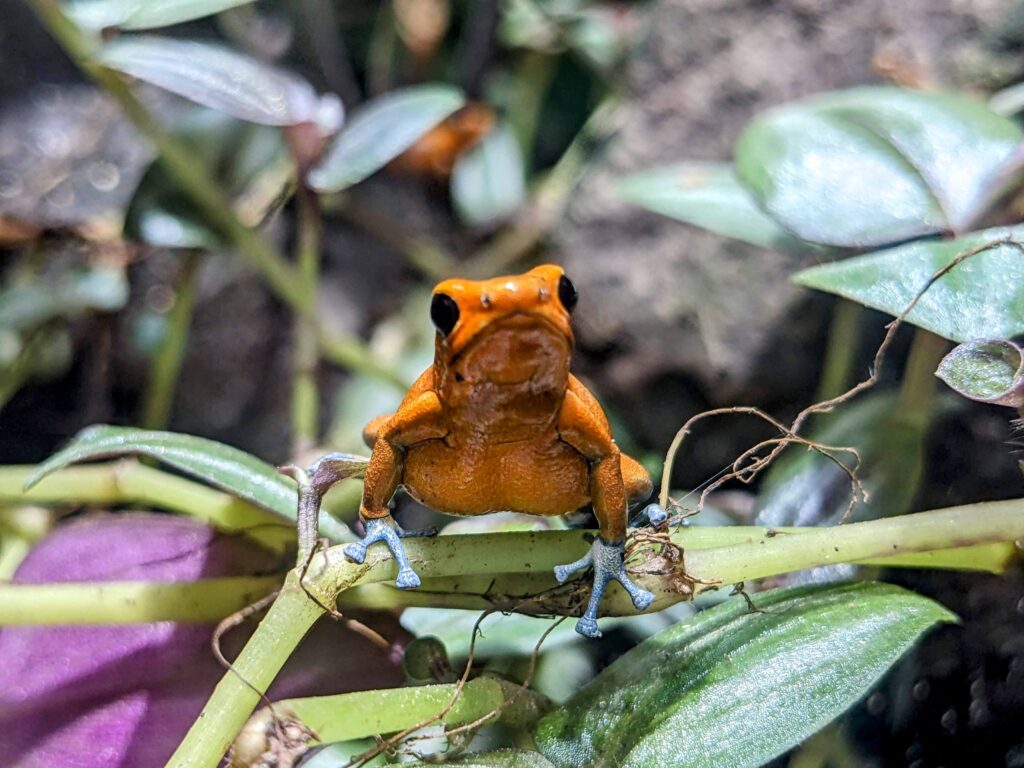 month in panama city two travel turtles