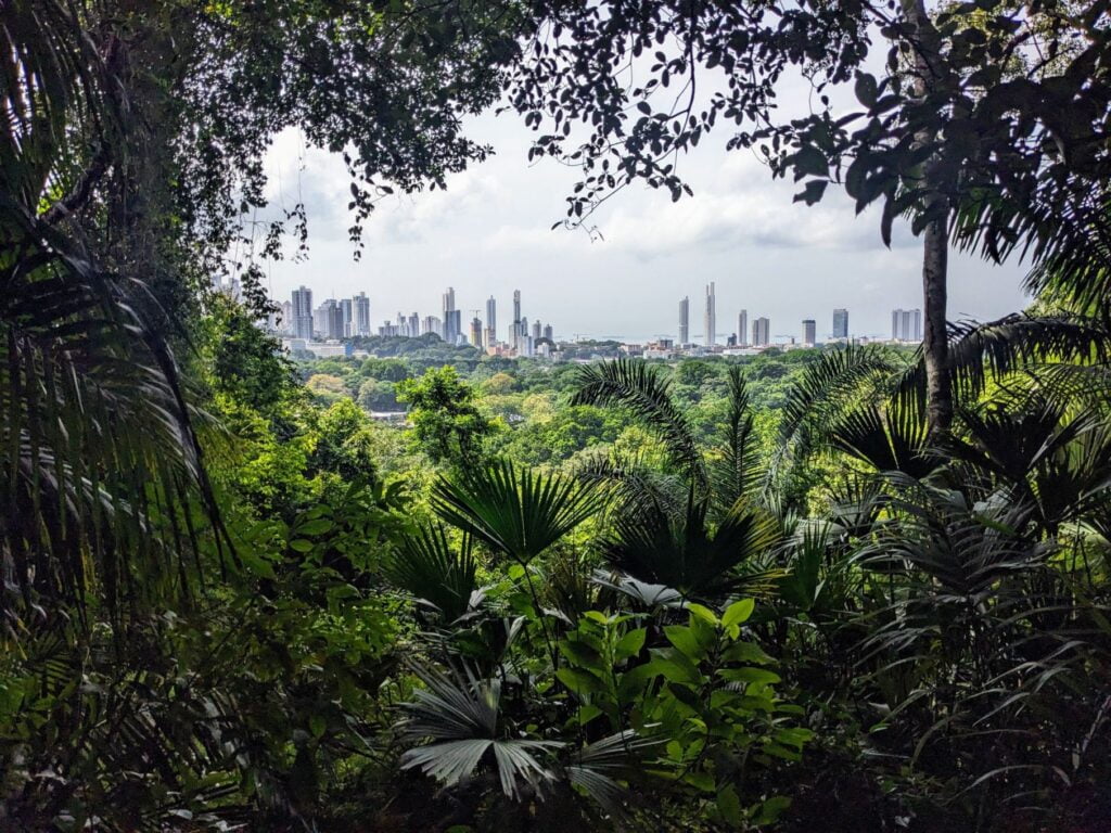 month in panama city two travel turtles