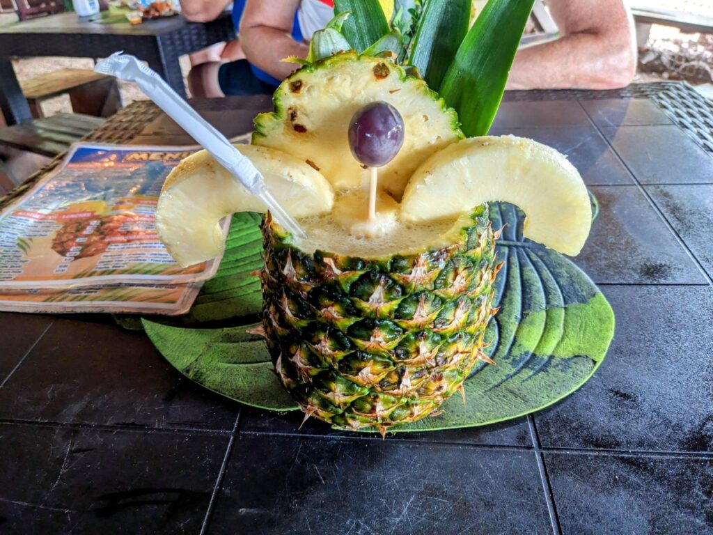 month in panama city two travel turtles