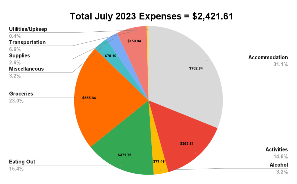 1 year of travel two travel turtles