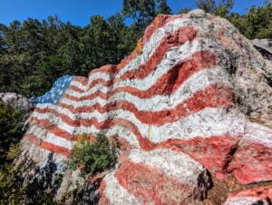 rising from the dead Connecticut two travel turtles