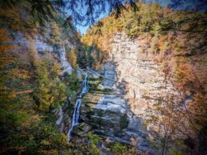 ohio update two travel turtles