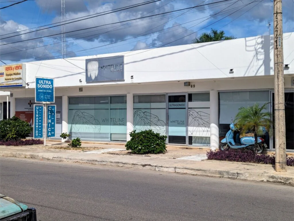 dentist in merida two travel turtles WHITELINE Clinica Dental