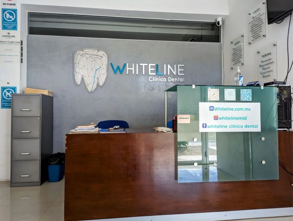 dentist in merida two travel turtles WHITELINE Clinica Dental