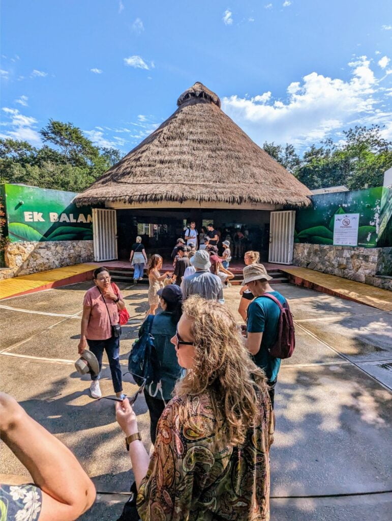 ek balam two travel turtles