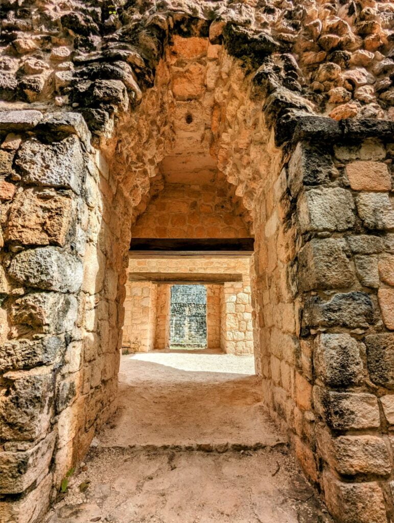 ek balam two travel turtles