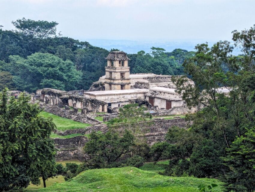 palenque two travel turtles