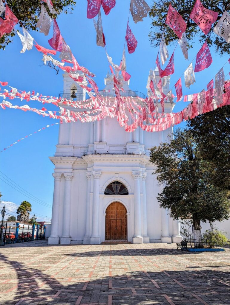 san cristobal de las casas two travel turtles