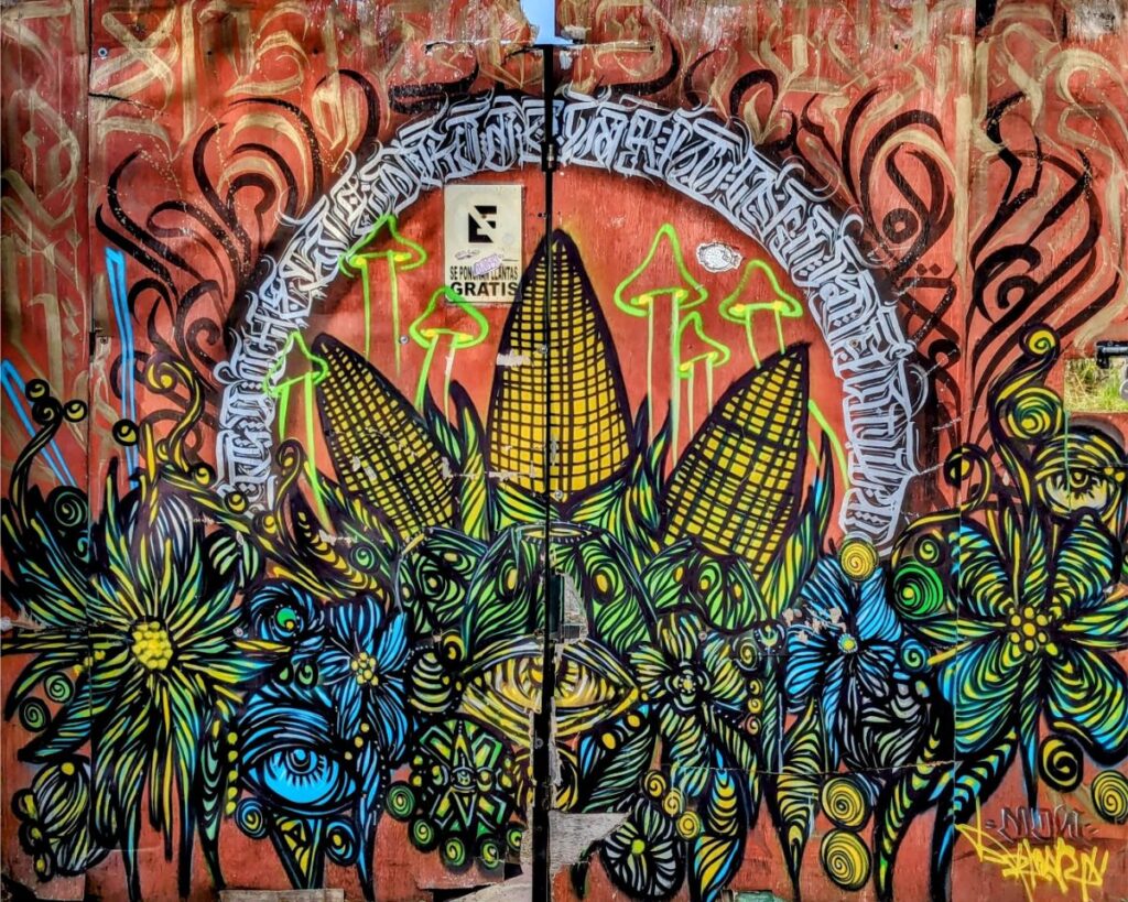 san cristobal de las casas two travel turtles