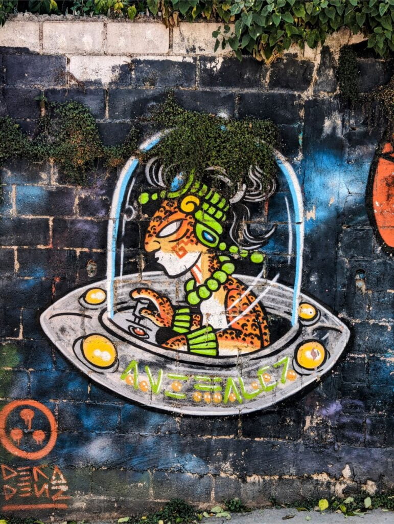 san cristobal de las casas two travel turtles