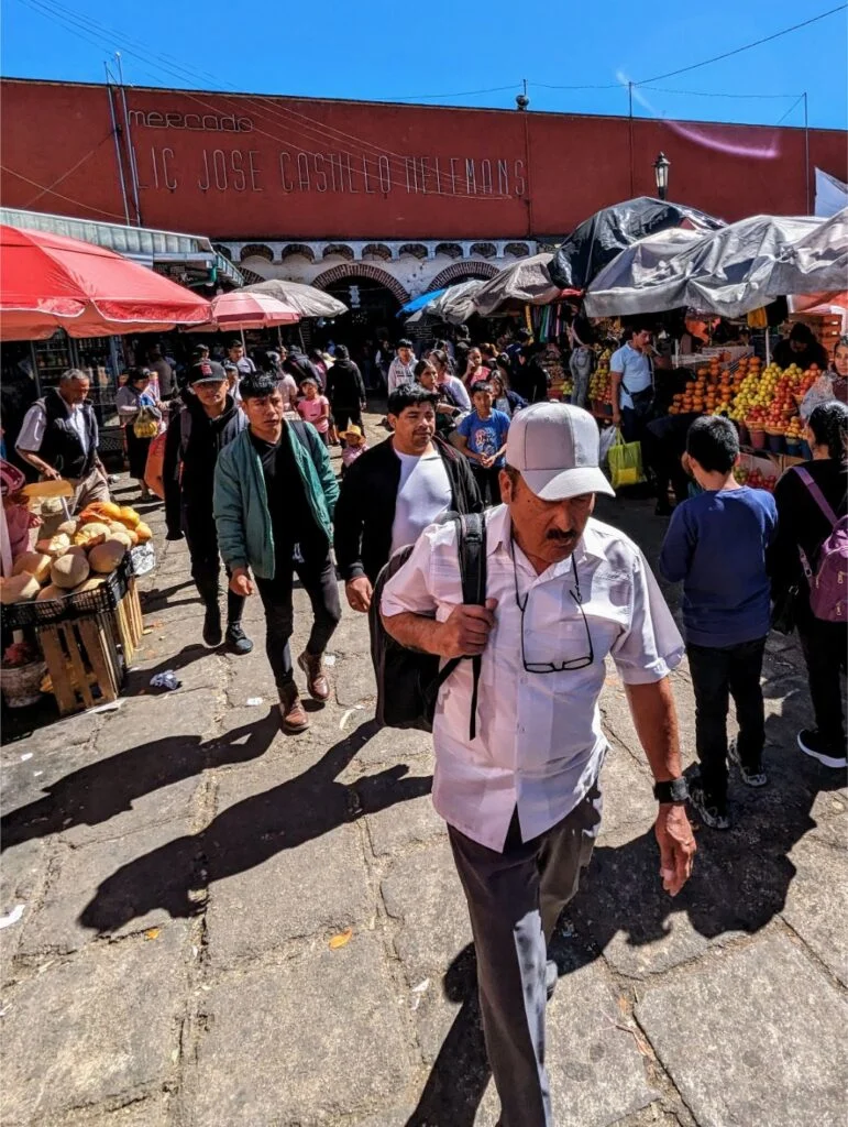 san cristobal de las casas two travel turtles
