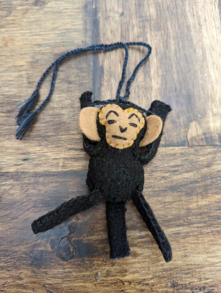 january 2024 budget report two travel turtles