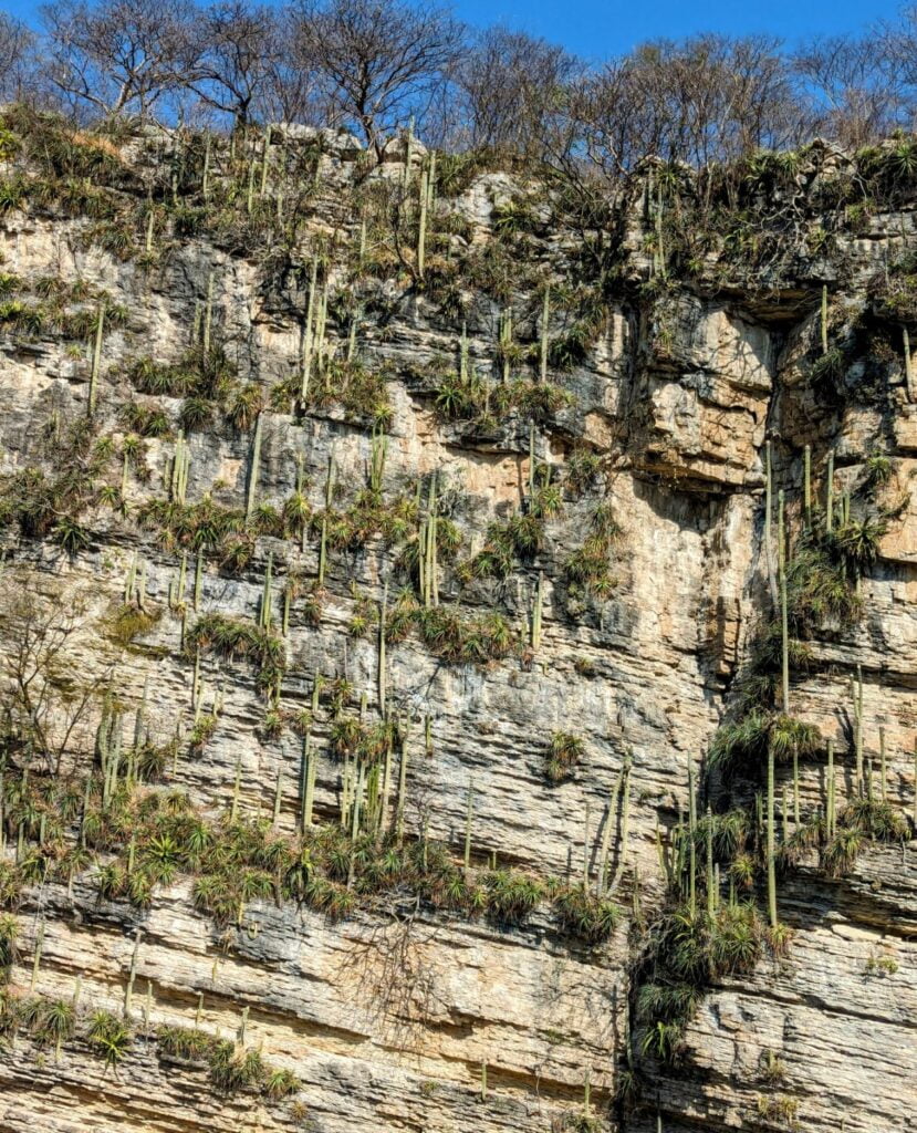 sumidero canyon national park two travel turtles