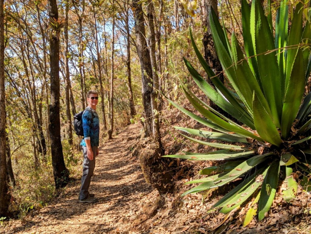 month in san cristobal two travel turtles