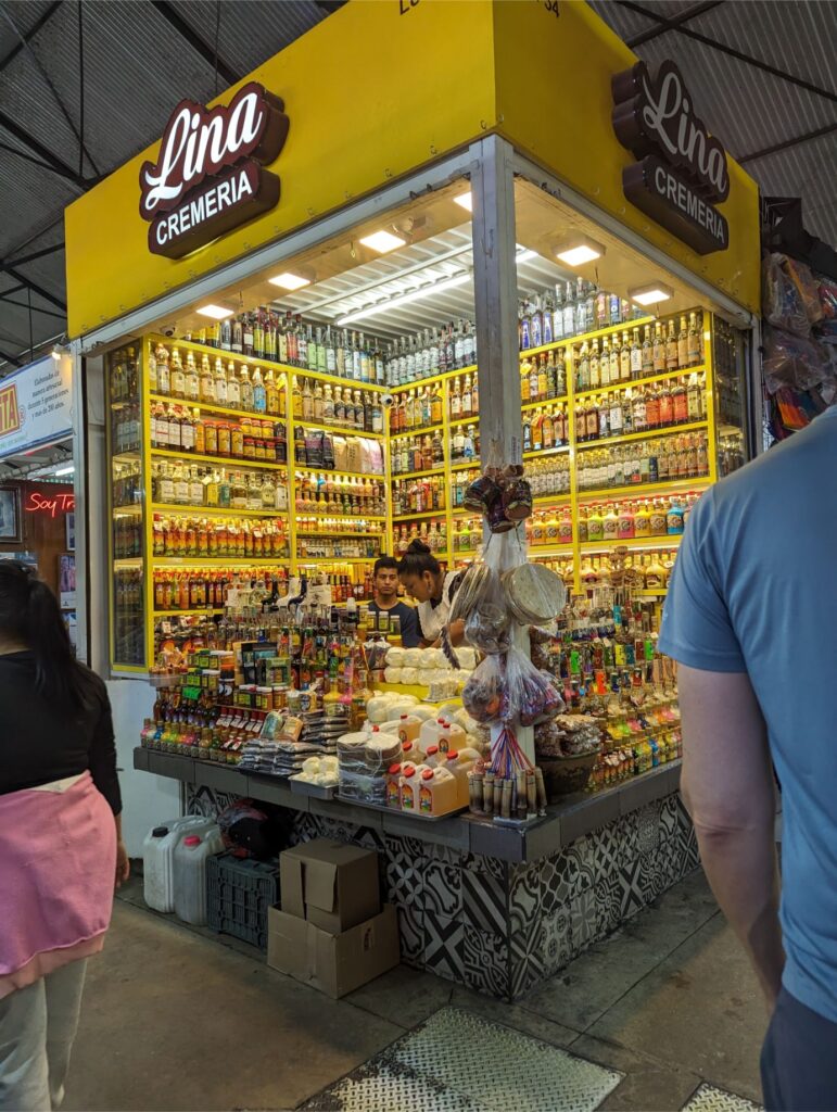 month in oaxaca two travel turtles