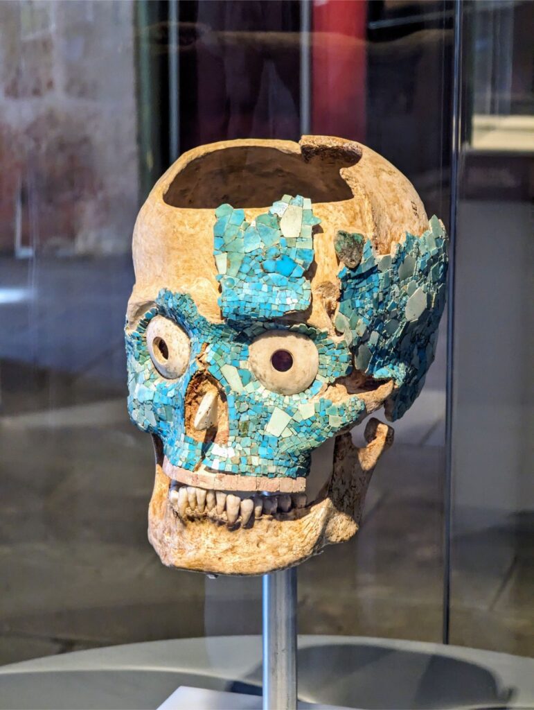 month in oaxaca two travel turtles