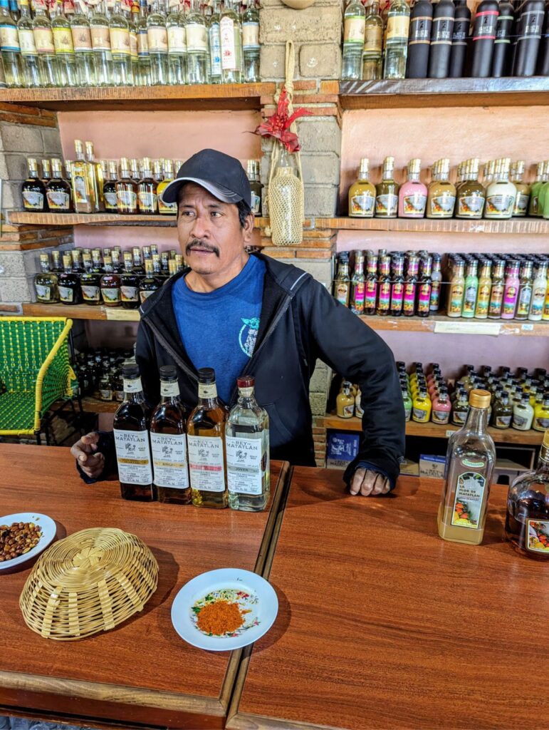 month in oaxaca two travel turtles