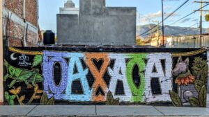 month in oaxaca two travel turtles