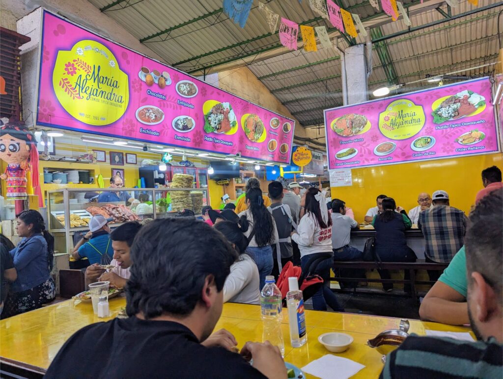 month in oaxaca two travel turtles