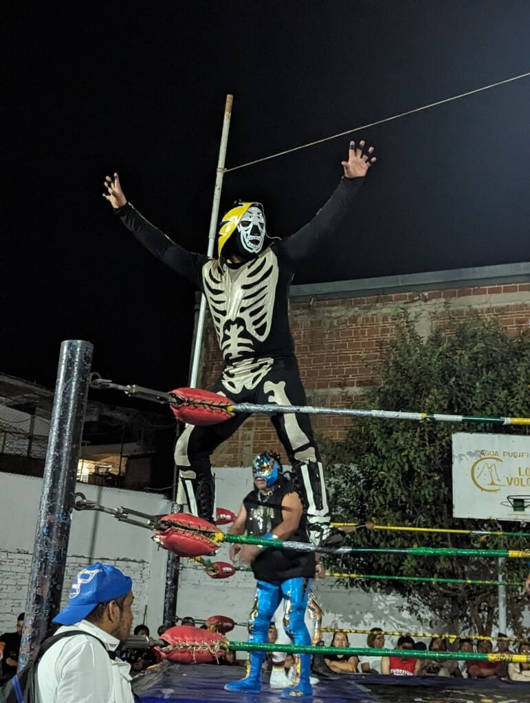 month in oaxaca two travel turtles