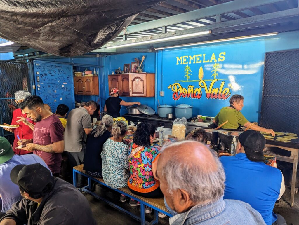 month in oaxaca two travel turtles