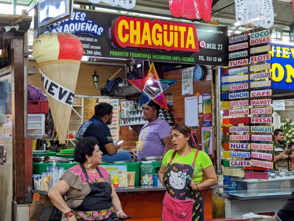 month in oaxaca two travel turtles