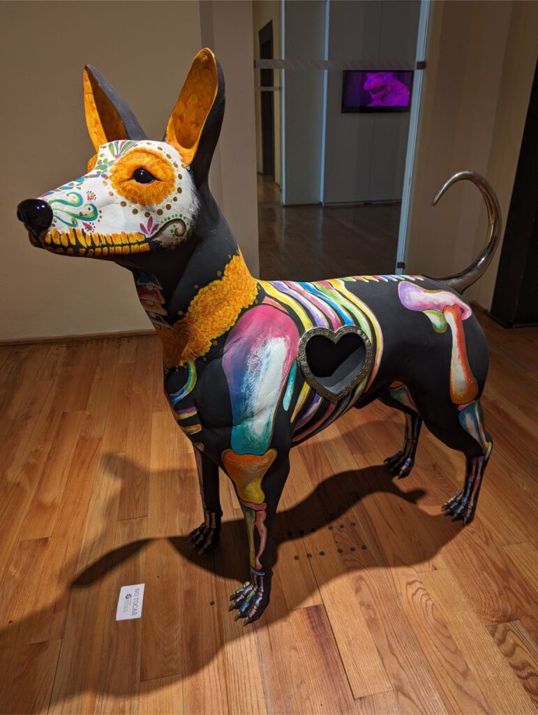 trip to cholula two travel turtles