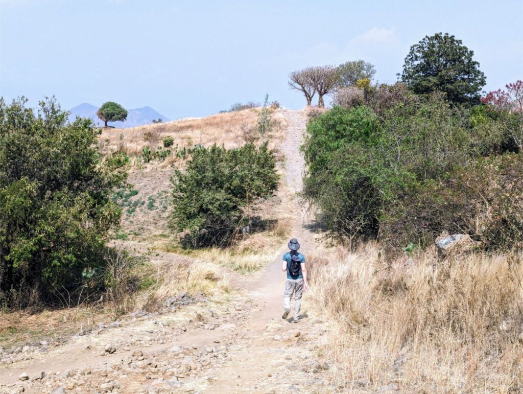 cerro zapotecas reserve two travel turtles