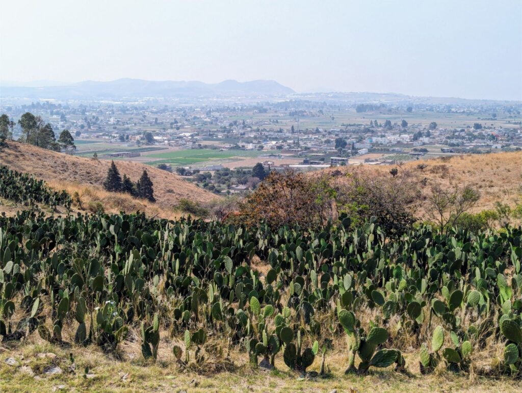 cerro zapotecas reserve two travel turtles