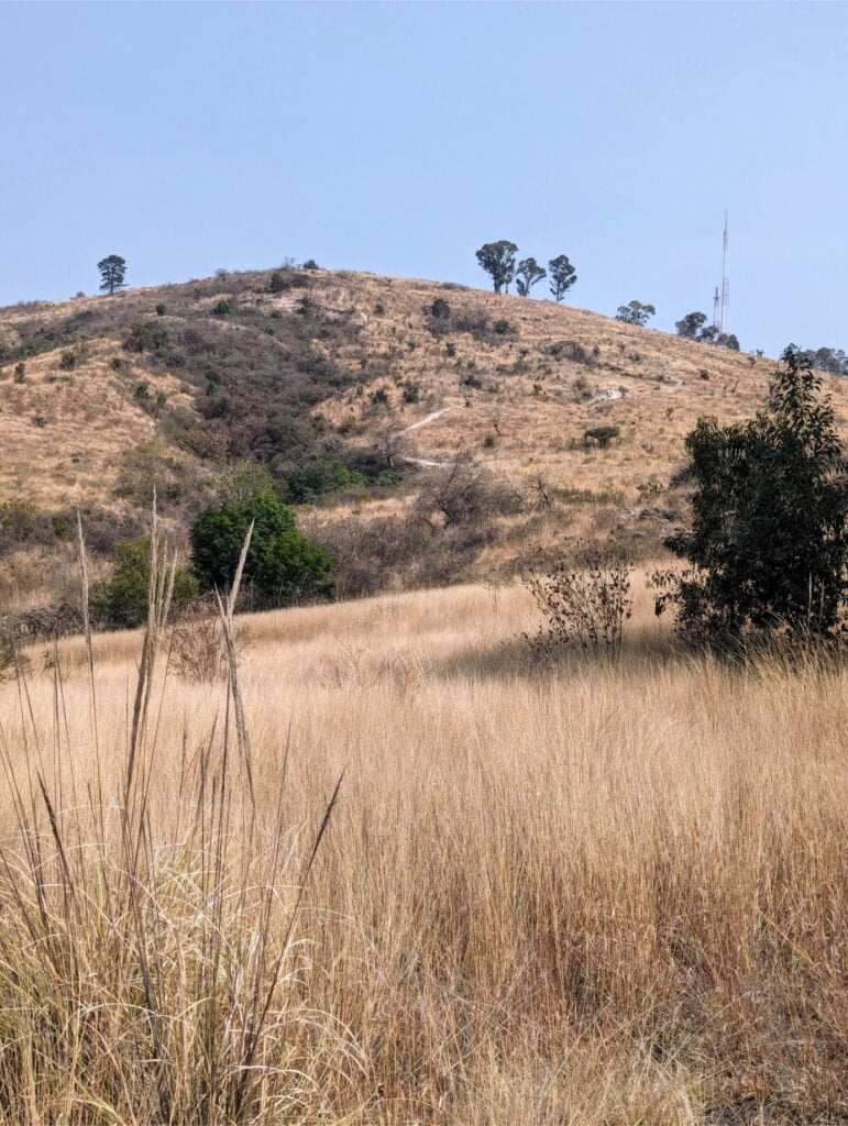 cerro zapotecas reserve two travel turtles