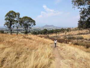 How To Hike The Cerro Zapotecas Reserve (Cholula, Mexico) cerro zapotecas two travel turtles