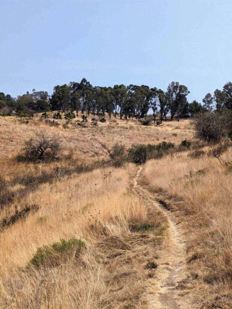 cerro zapotecas reserve two travel turtles