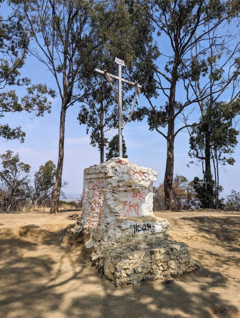 cerro zapotecas reserve two travel turtles