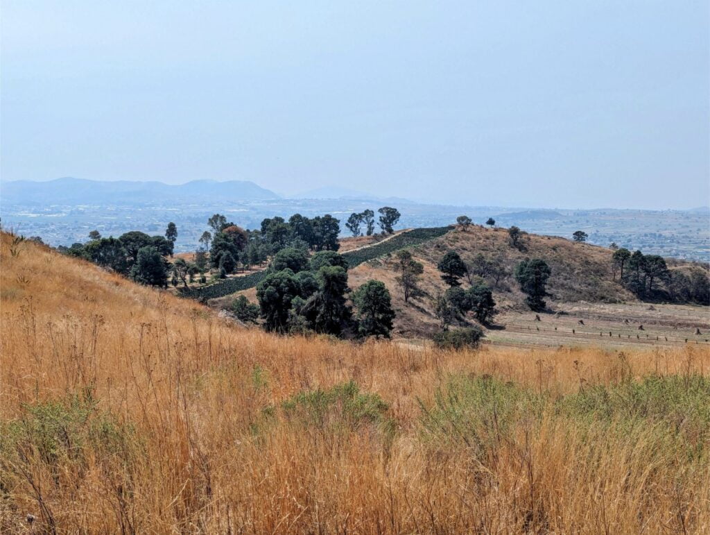 cerro zapotecas reserve two travel turtles