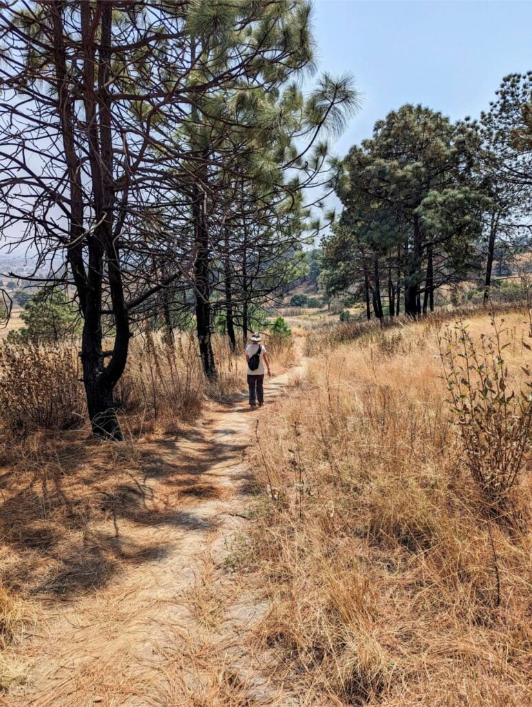 cerro zapotecas reserve two travel turtles