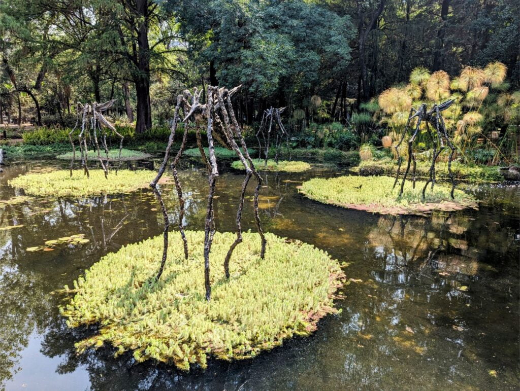 month in mexico city two travel turtles