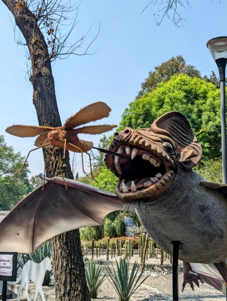 month in mexico city two travel turtles