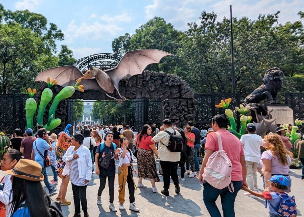 month in mexico city two travel turtles