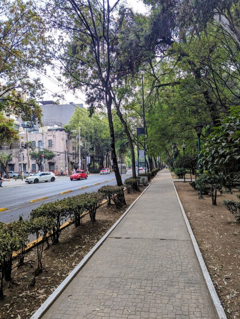 mexico city two travel turtles