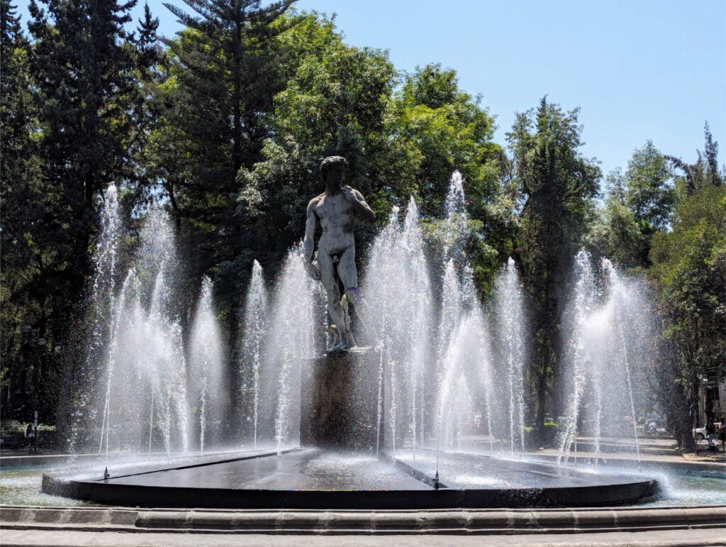 mexico city two travel turtles