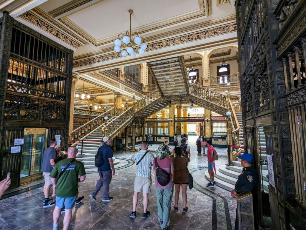 mexico city two travel turtles